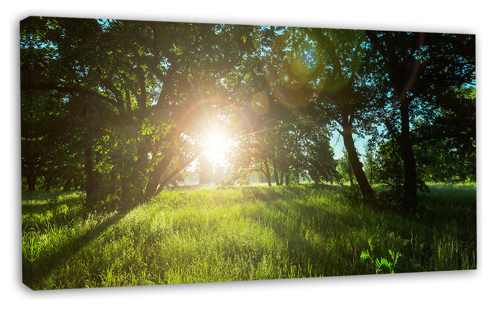 Sunny Day in Green Forest Meadow, Oversized Landscape Canvas Art, 32"x16"