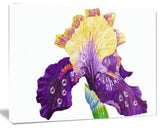 Blooming Blue Yellow Iris, Floral Canvas Art print, 40"x30"
