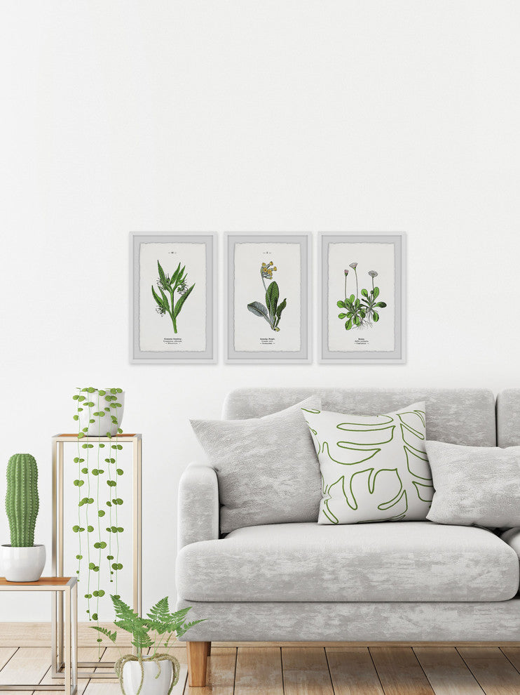 "Pulsatilla Flowers Triptych" Framed Prints, 12"x18", 3-Piece Set