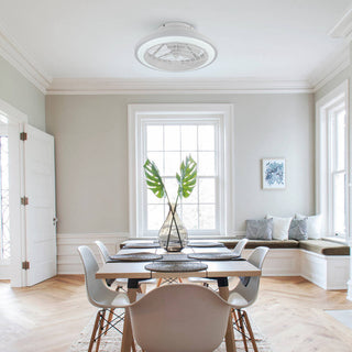 20 in. LED White Low Profile Caged Enclosed Ceiling Fan with Remote Control