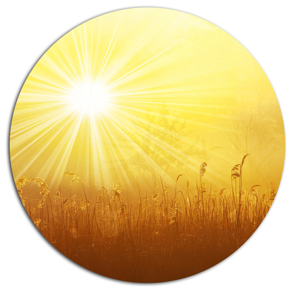 Amazing Sunrise Over Meadow, Landscape Round Metal Wall Art, 11"