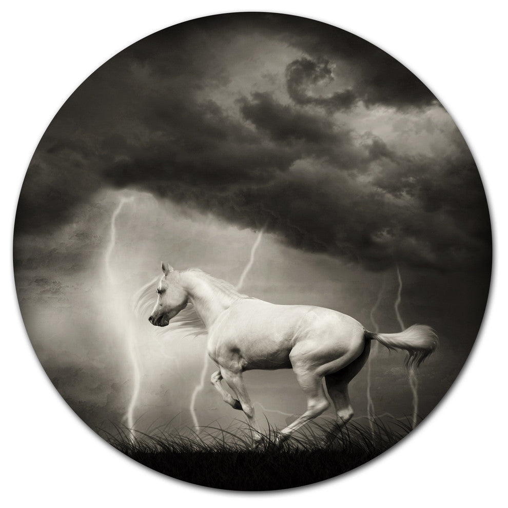 White Horse Under Thunder Sky, Animal Round Metal Wall Art, 23"