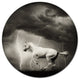 White Horse Under Thunder Sky, Animal Round Metal Wall Art, 23"