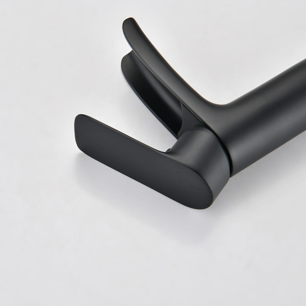 Single Hole Bathroom Faucet With Drain Assembly, Matte Black