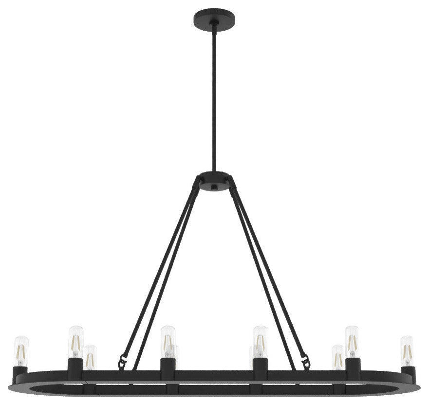 Hunter Saddlewood Natural Iron 10 Light Chandelier Ceiling Light Fixture