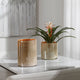 Uttermost Tangelo Beige Orange Vases, Set of 2