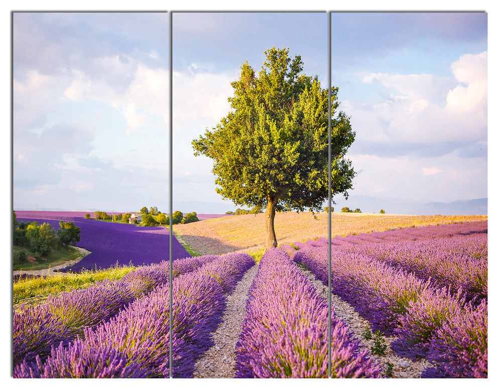 Lonely Green Tree in Lavender Field, Landscape Canvas Art, 36x28, 3 Panels