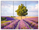 Lonely Green Tree in Lavender Field, Landscape Canvas Art, 36x28, 3 Panels