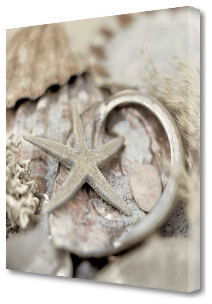 15" Sandy Starfish and Seashells 2 Giclee Wrap Canvas Wall Art