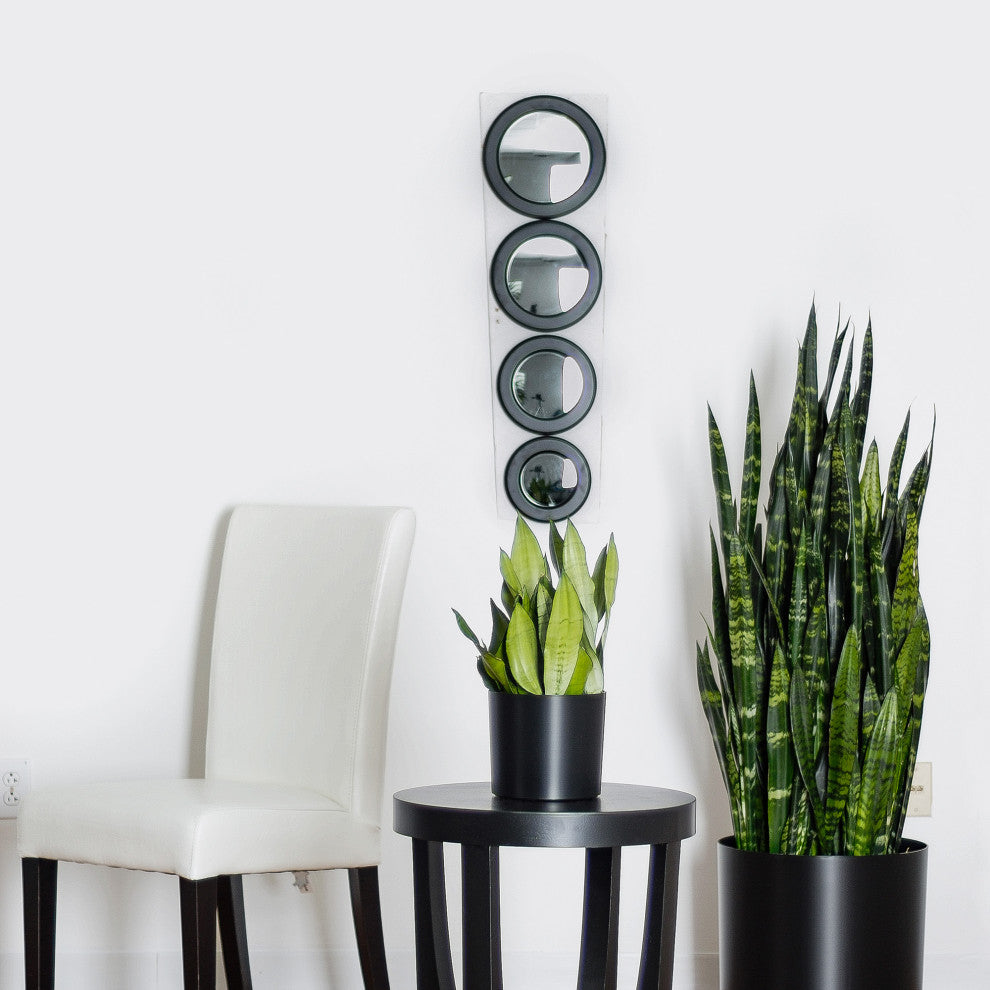 American Essence Odessa Modern Indoor Metallic Plastic Planter, Black Luster, 10.5"x10"