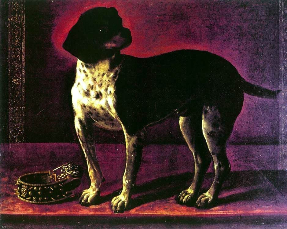 Tiberio Di Tito Portrait of a Dog, 20"x25" Wall Decal