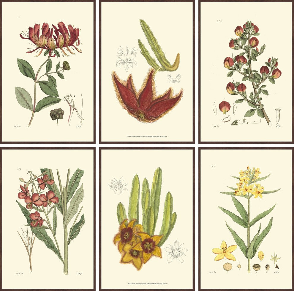 Autumn Blooms Hexaptych, 36x36