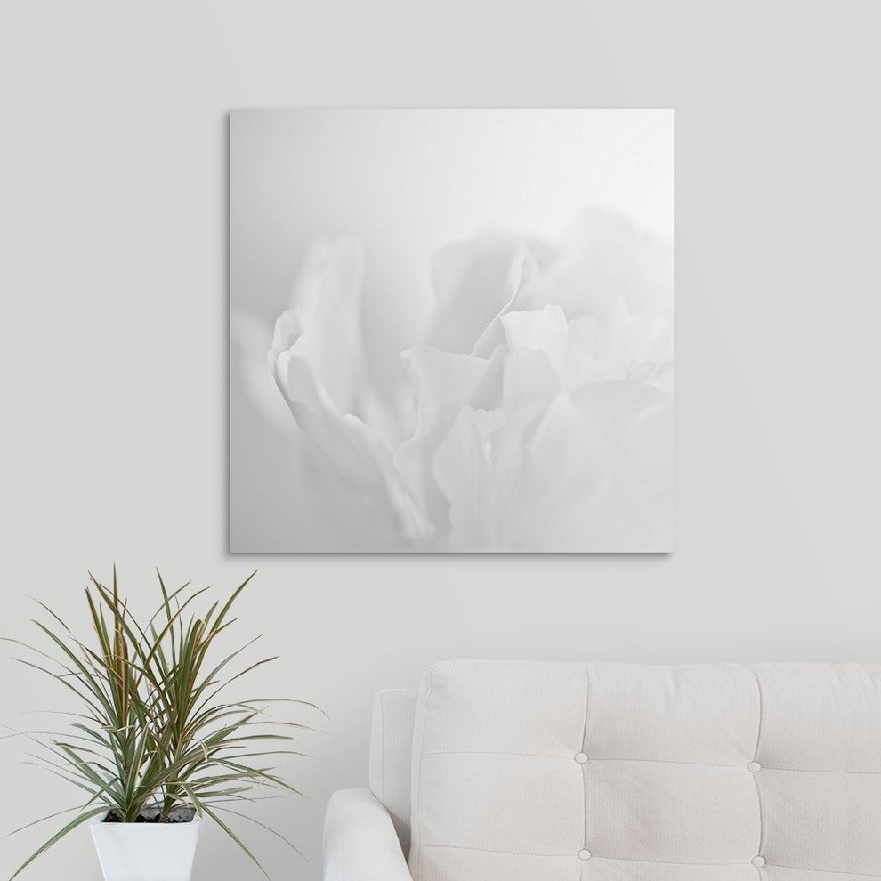 "Oh So White" Wrapped Canvas Art Print, 24"x24"x1.5"