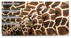 Ready2HangArt ''Giraffe'' Wrapped Canvas Wall Decor, 60"x30"
