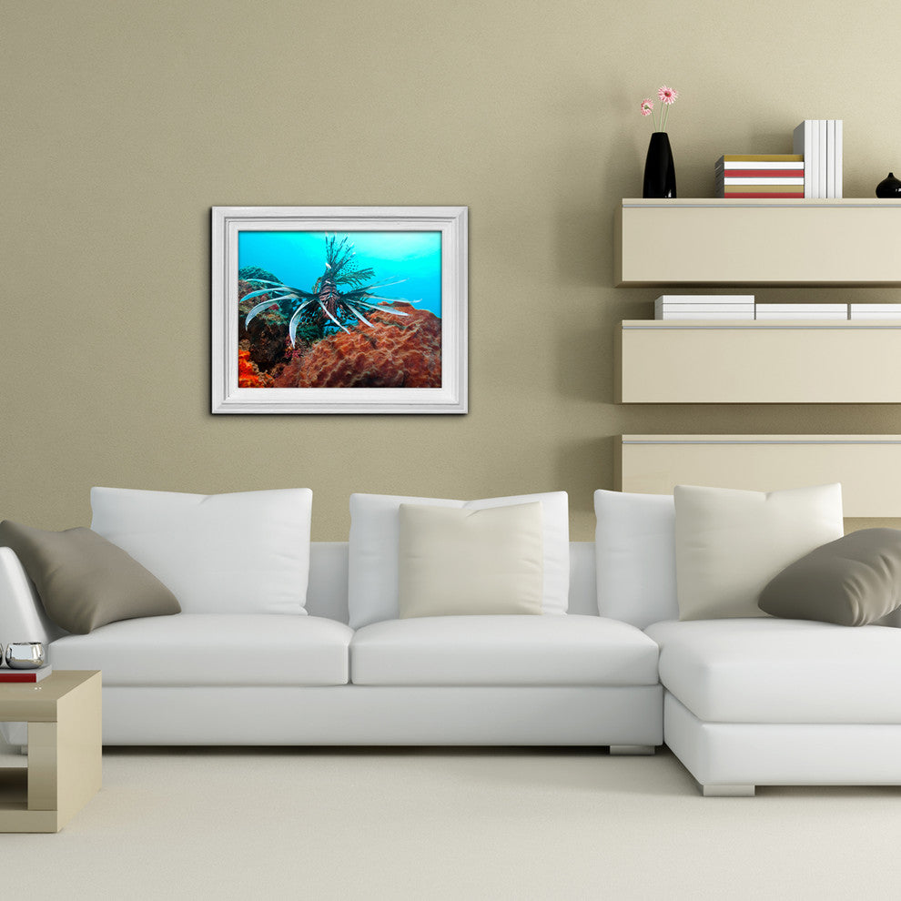 Ready2hangart Christopher Doherty Photography 'Underwater' Canvas Wall Art