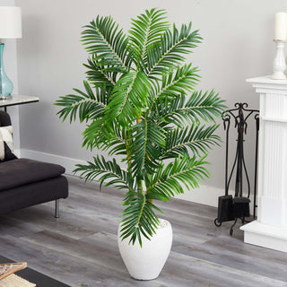 Lifestyle shot in a real room environment; full plant visible with no overlays.