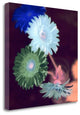 "Floral Color - 5" By Alan Blaustein, Giclee Print on Gallery Wrap Canvas