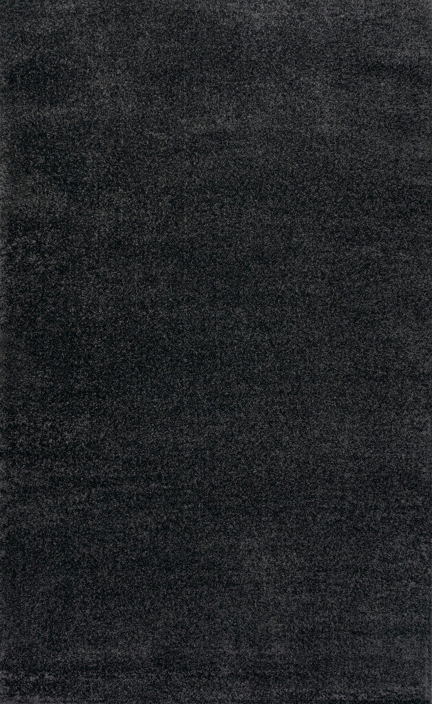 Haze Solid Low-Pile Black 10 ft. x 14 ft. Area Rug