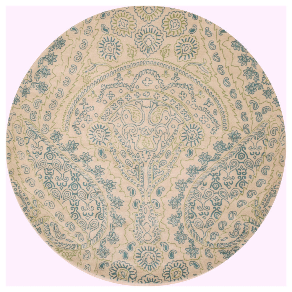Green Transitional Paisley Jain Area Rug