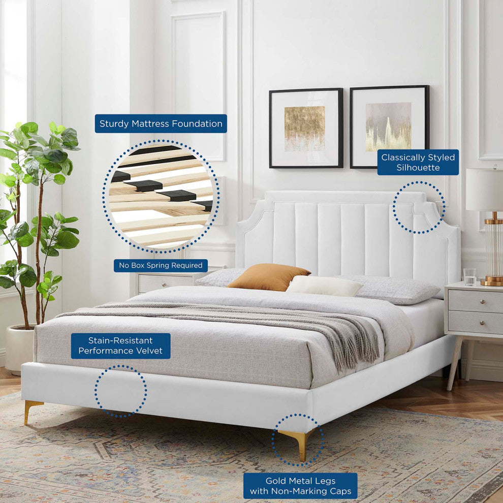 Platform Bed Frame, Queen Size, Velvet, White, Modern Contemporary, Bedroom