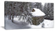 House in Magic Winter Forest, Landscape Canvas Art Print, 32"x16"