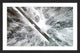 "Icy Forest" Framed Print by Karolis Janulis