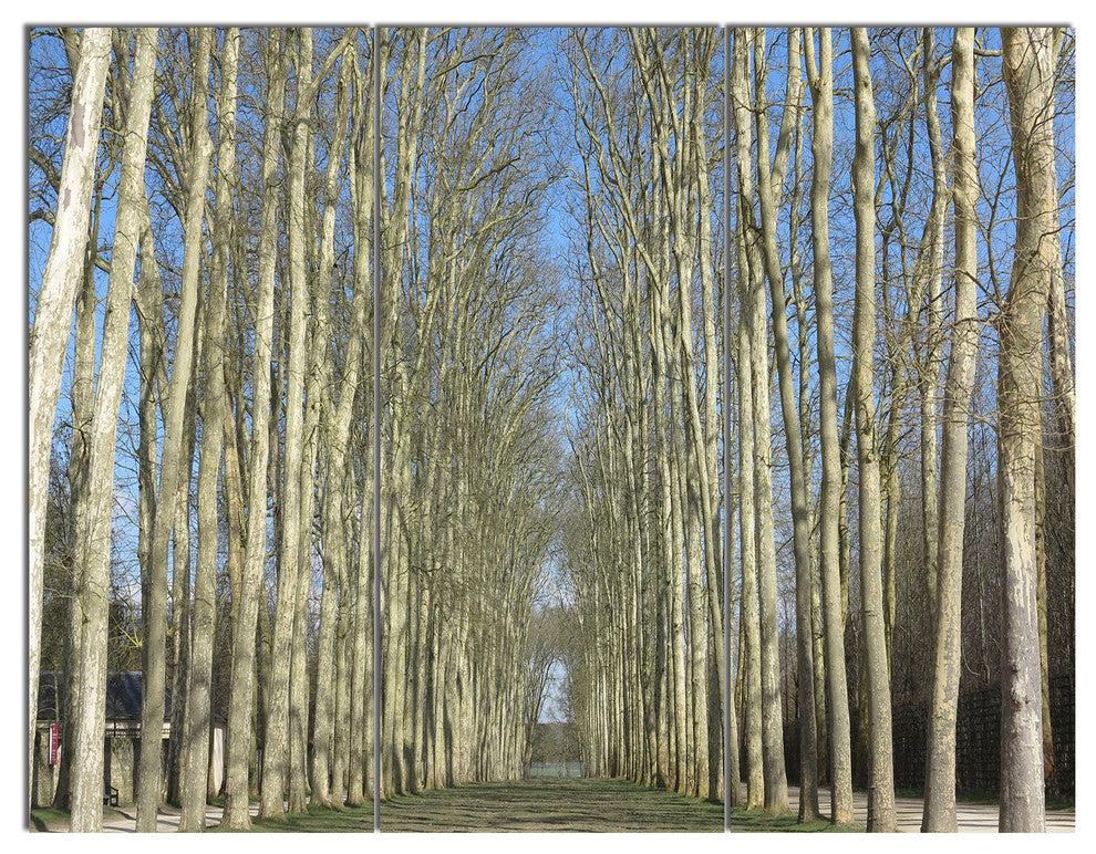 Gardens of Palace Versailles, Modern Forest Triptych Canvas Art, 36x28, 3 Panels