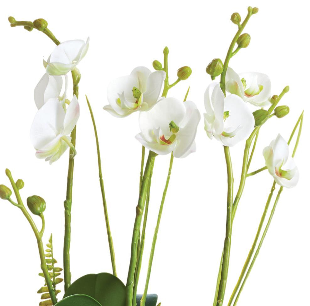 18in White Phalaenopsis Orchid Fern Faux Floral Artificial Plant Drop In Flowers
