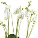 18in White Phalaenopsis Orchid Fern Faux Floral Artificial Plant Drop In Flowers