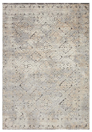Theory THY-05 Grey/Sand 2'7"x4' Area Rug