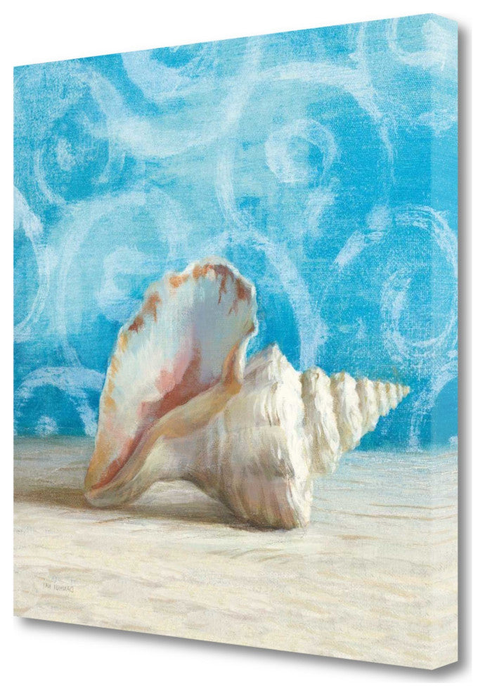25" Mod Blue Scroll Coastal Conch 4 Giclee Wrap Canvas Wall Art