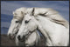 "Blowing" Framed Canvas Giclee by Bragi Ingibergsson, 37x25"