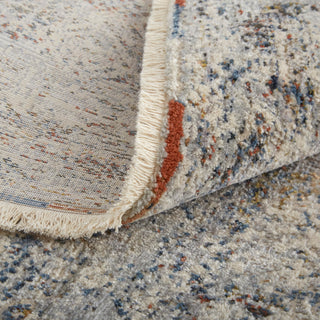 Frencess R39GL Transitional/Rustic/Farmhouse Rug, Gray, 3'x5'
