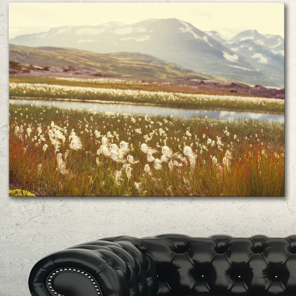 Arctic Cotton Flowers Meadow, Large Flower Canvas Wall Art, 40"x30"