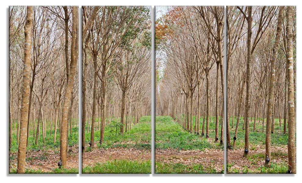 Beautiful Rubber Plantation Photo, Modern Forest Canvas Art, 48"x28", 4 Panels