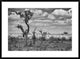 "The Last Unicorn" Framed Digital Print by Marcel Rebro, 38"x28"