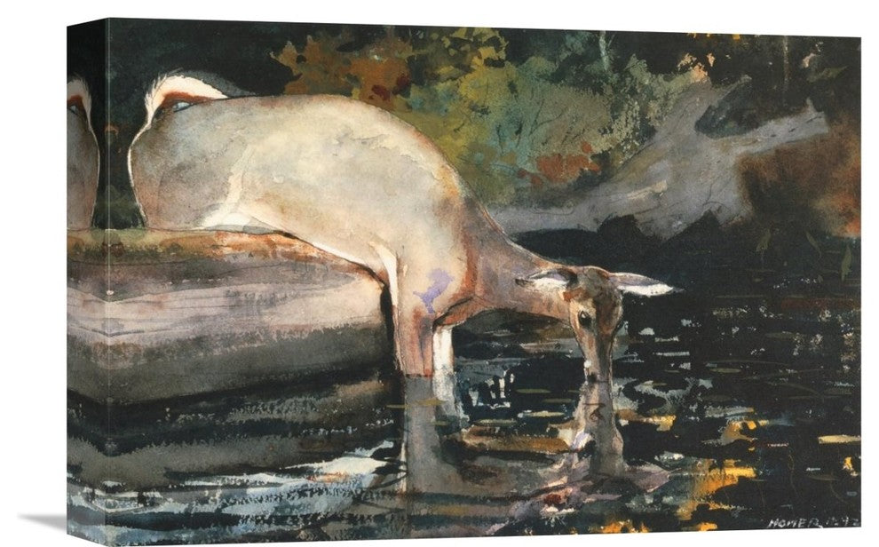 "Deer Drinking" Stretched Canvas Giclee by Winslow Homer, 16"x11"