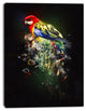 Fantasy Parrot on Branch, Animal Canvas Wall Art, 12"x20"