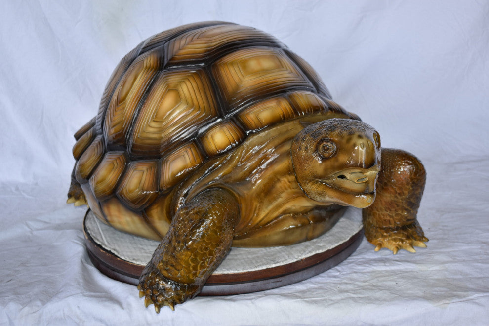 Giant Tortoise Turtle Fountain Light Brown Finish Bronze Statue 24"x 38" x 16
