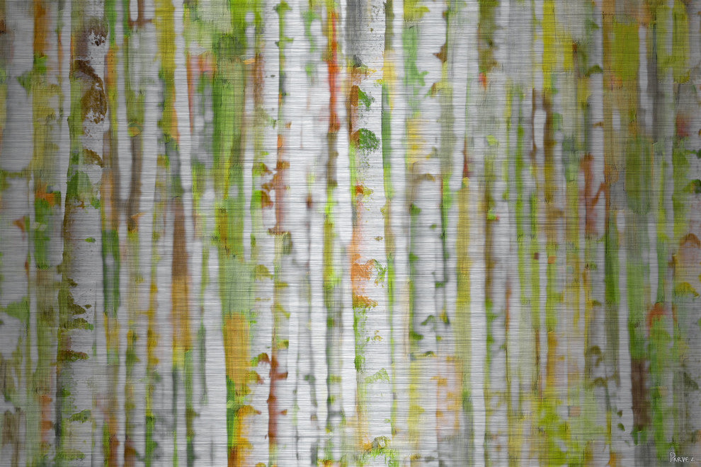"Into the Trees" UV Ink Print on Brushed  Aluminum, 36"x24"