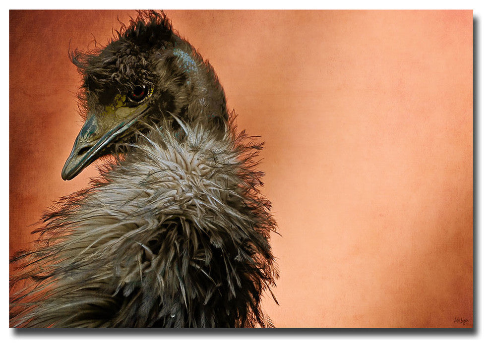 'Whispy Bird' Canvas Art by Lois Bryan