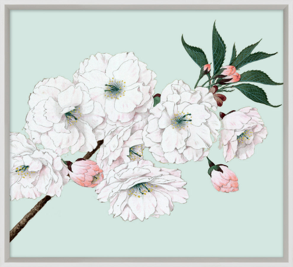 Powder Blue Blossom 9, Giclee Reproduction Artwork