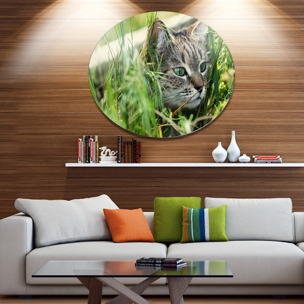 Lovely Kitten In Grass, Animal Round Wall Art, 11"