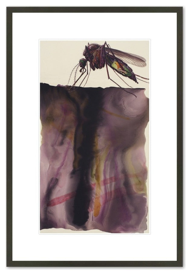 Culex, 2007