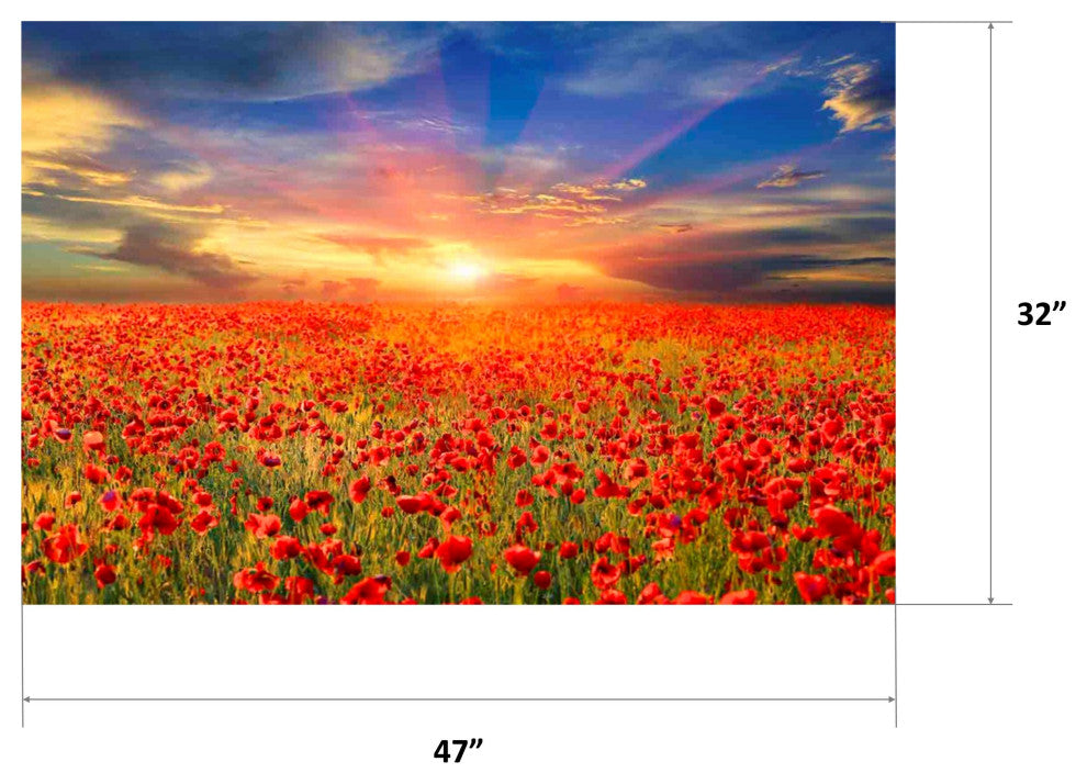 All the Poppies