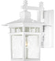 Nuvo 1-Light 100w Incandescent Cove Neck Outdoor Light Fixture, White