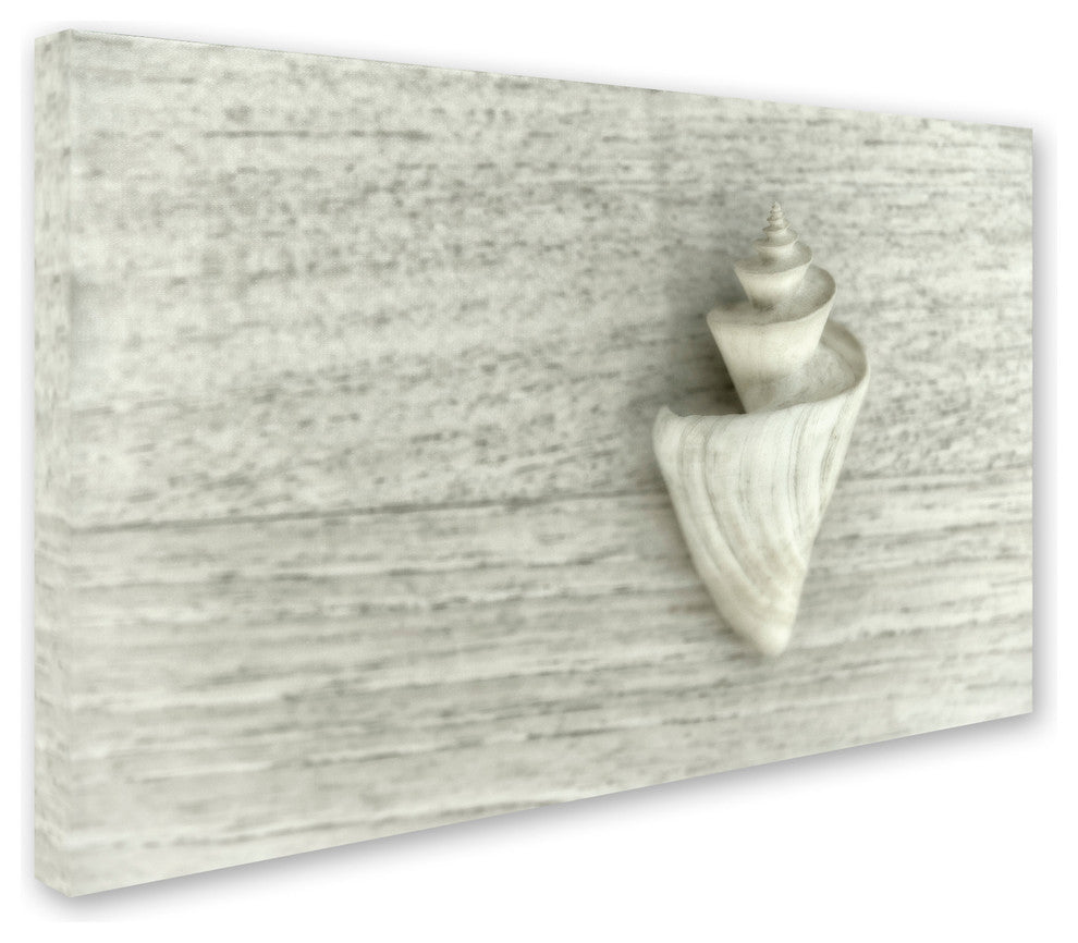Cora Niele ''Japanese Wonder Shell'' Canvas Art