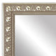 Hillsborough Framed Wall Mirror, Nickel, 20"x36"
