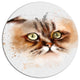Cute Brown Cat Watercolor Sketch, Animal Disc Metal Artwork, 23"