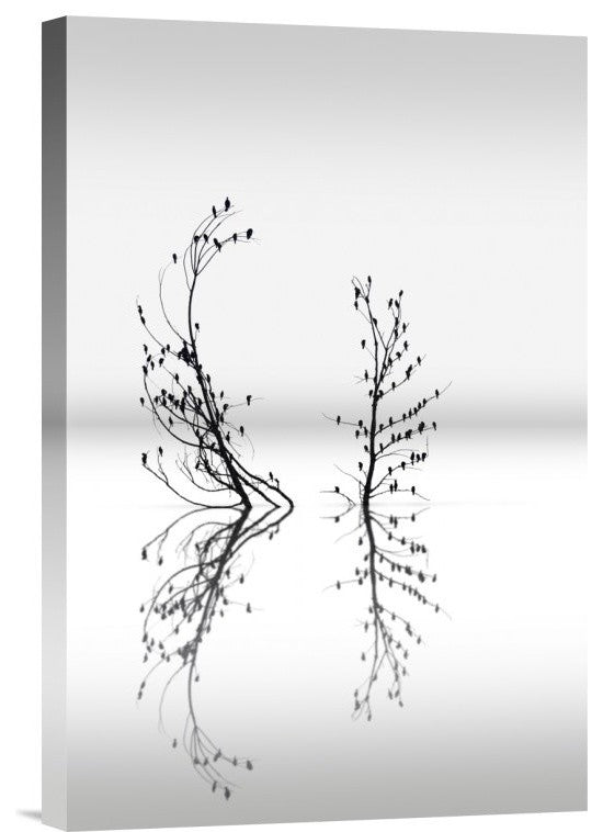 "Trees With Birds (2)" Stretched Canvas Giclee by George Digalakis, 12x18"